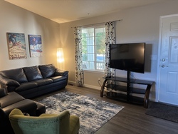 Valted Ceilings in Living Room